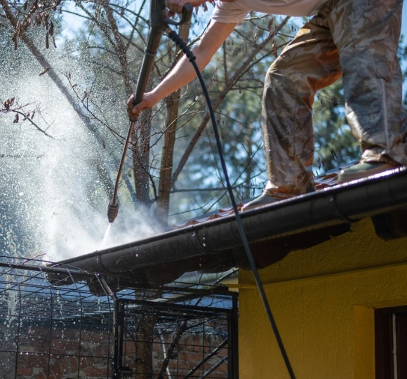 Roof Gutter Cleaning